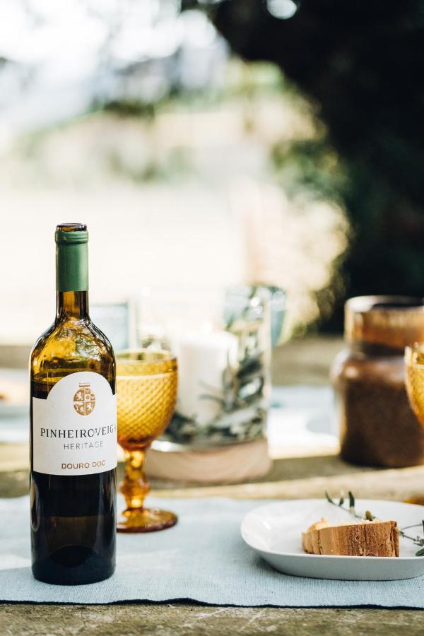 Provesende Casa Do Santo - Wine & Tourismヴィラ エクステリア 写真