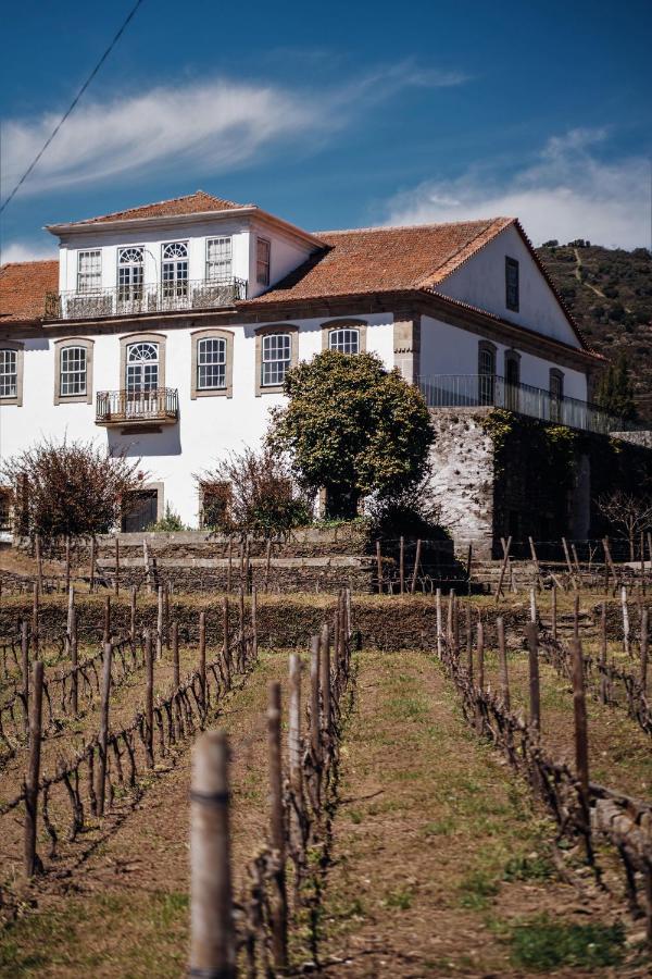 Provesende Casa Do Santo - Wine & Tourismヴィラ エクステリア 写真