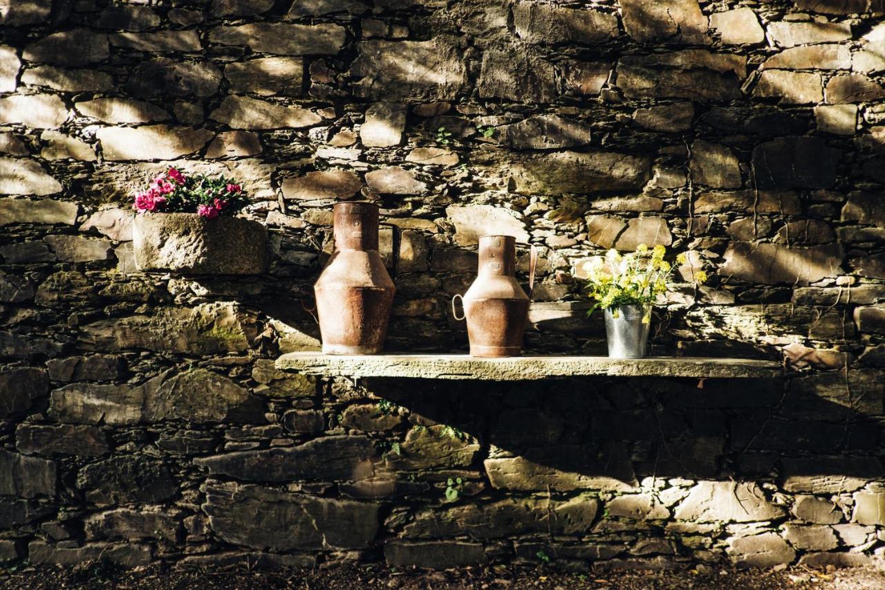 Provesende Casa Do Santo - Wine & Tourismヴィラ エクステリア 写真