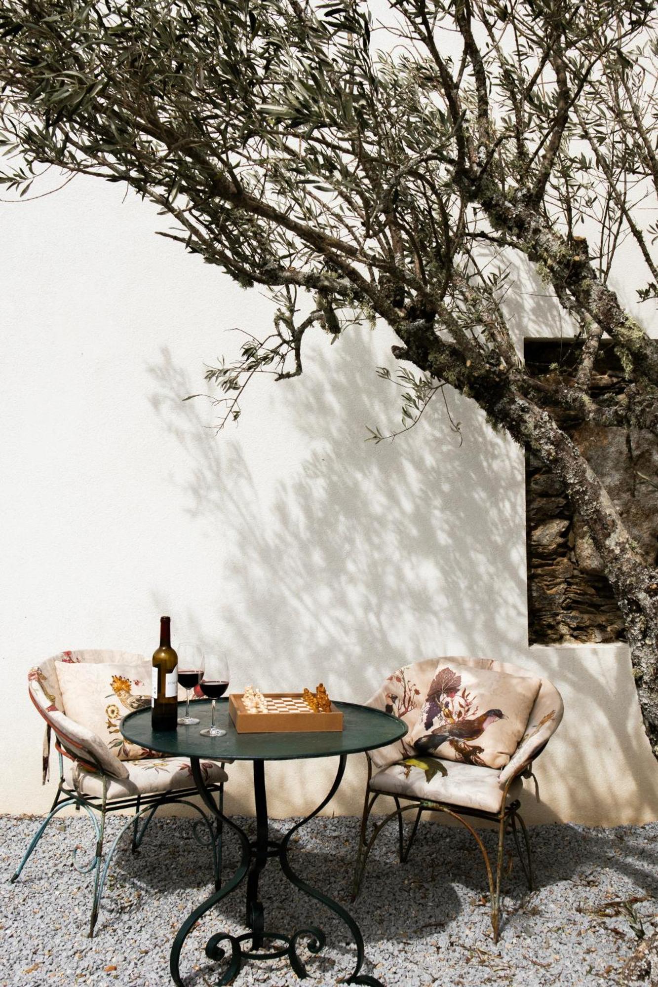 Provesende Casa Do Santo - Wine & Tourismヴィラ エクステリア 写真