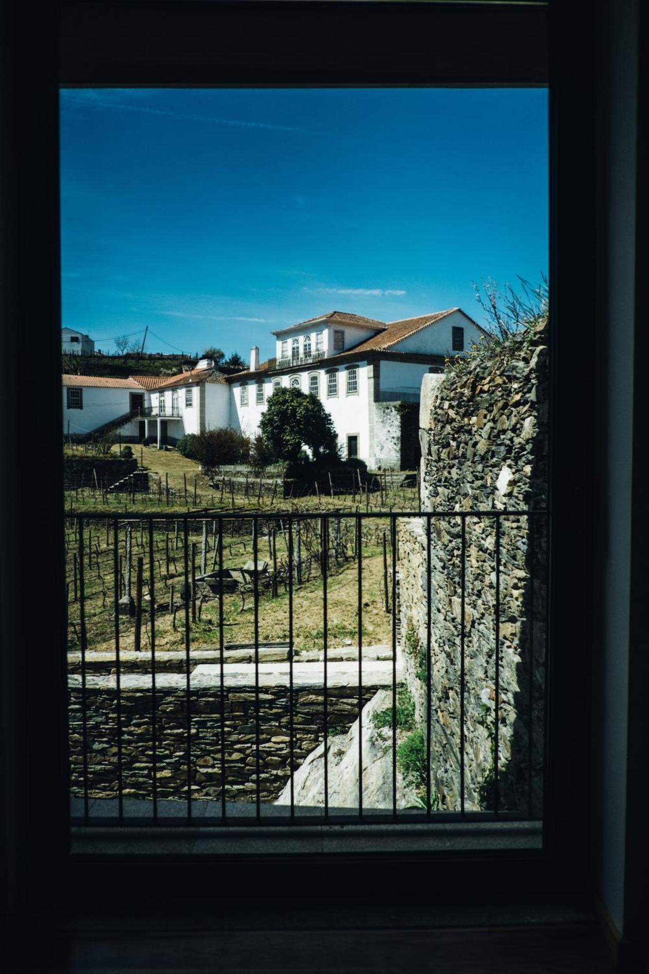 Provesende Casa Do Santo - Wine & Tourismヴィラ エクステリア 写真