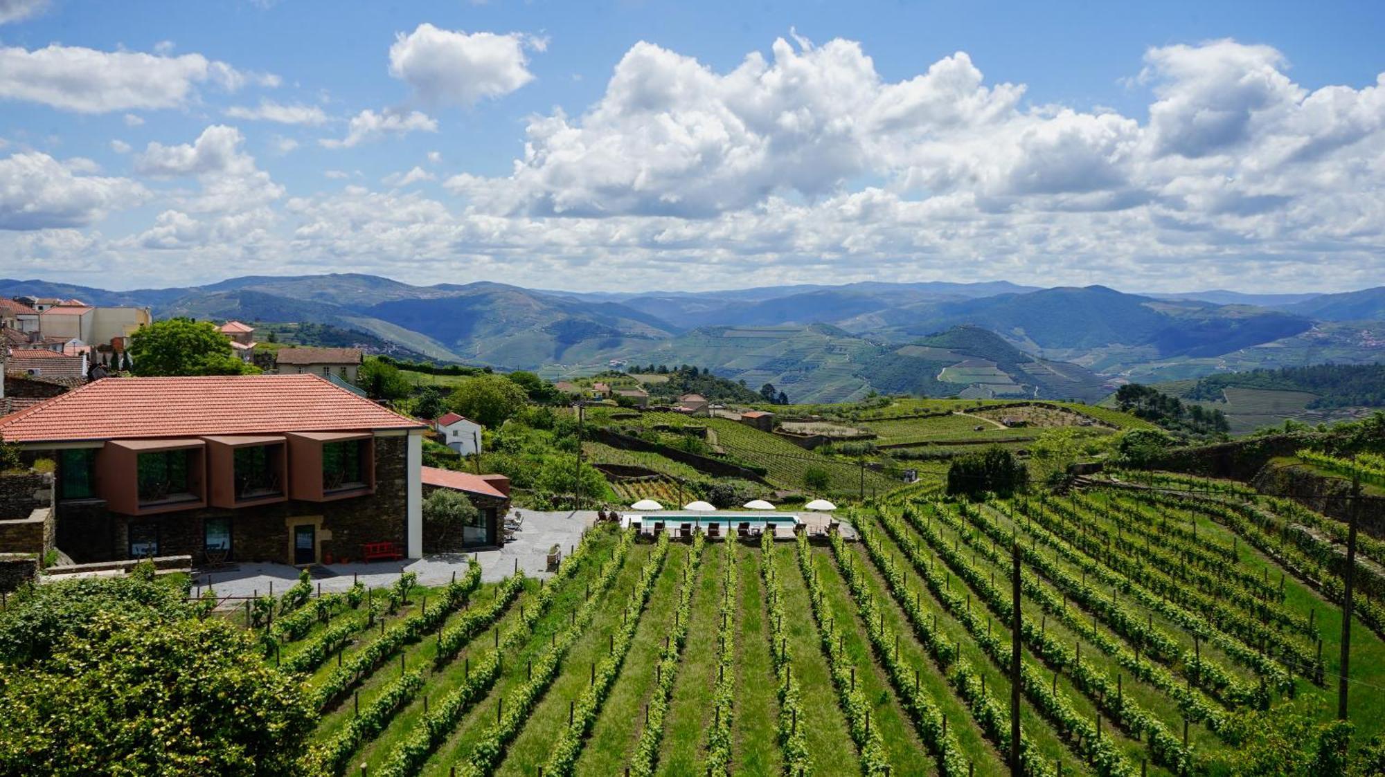 Provesende Casa Do Santo - Wine & Tourismヴィラ エクステリア 写真